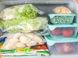 frozen ingredients in freezer