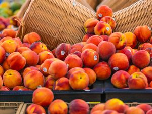 A pile of peaches in a grocery store, baskets of other fruits in the background. Some of the peaches have visible stickers