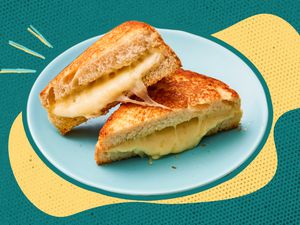 Image of a grilled cheese sandwich on a plate with yellow and blue illustrations in the background