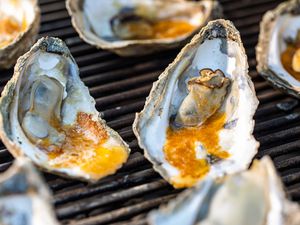 Oysters on the grill to show how to grill oysters.