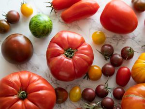 Red slicer tomato among cherry grape and roma tomatoes