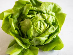 Head of Butter Lettuce 