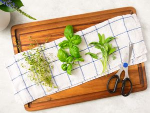 fresh herbs on a kitchen towel
