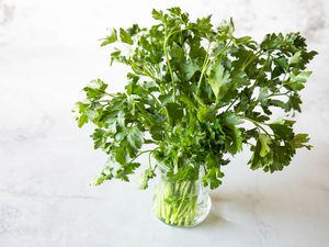 Parsley in a Vase of Water