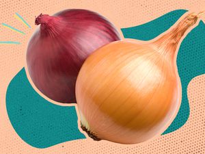 Red onion and yellow onion over a blue and peach color block background