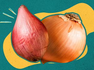 Shallot and an onion on a deep yellow and blue color blob background