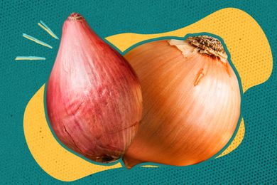 Shallot and an onion on a deep yellow and blue color blob background