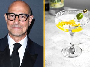 Stanley Tucci Martini