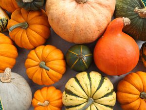 Photo of a variety of winter squash (pumpkins and gourds) with deep green and yellow dotted illustrations on the corners
