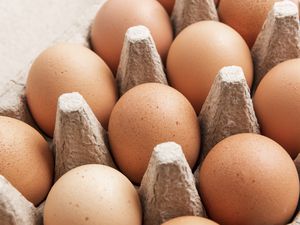 eggs on a carton